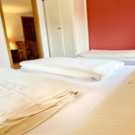 Haus Am Muehlbach - Sommerbergbahn Unlimited Kostenlos 4*