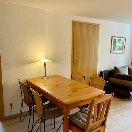 Apartmanhotel Haus Am Muehlbach - Sommerbergbahn Unlimited Kostenlos 4*