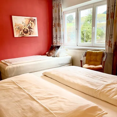 Haus Am Muehlbach - Sommerbergbahn Unlimited Kostenlos Apartmanhotel 4*